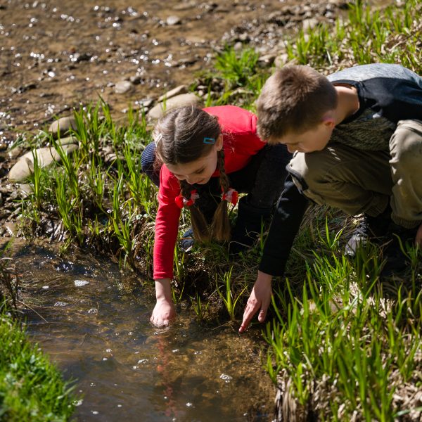 Top 5 Misconceptions about Home Education